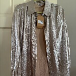 Pewter blouse L/XL. Great for celebrations.